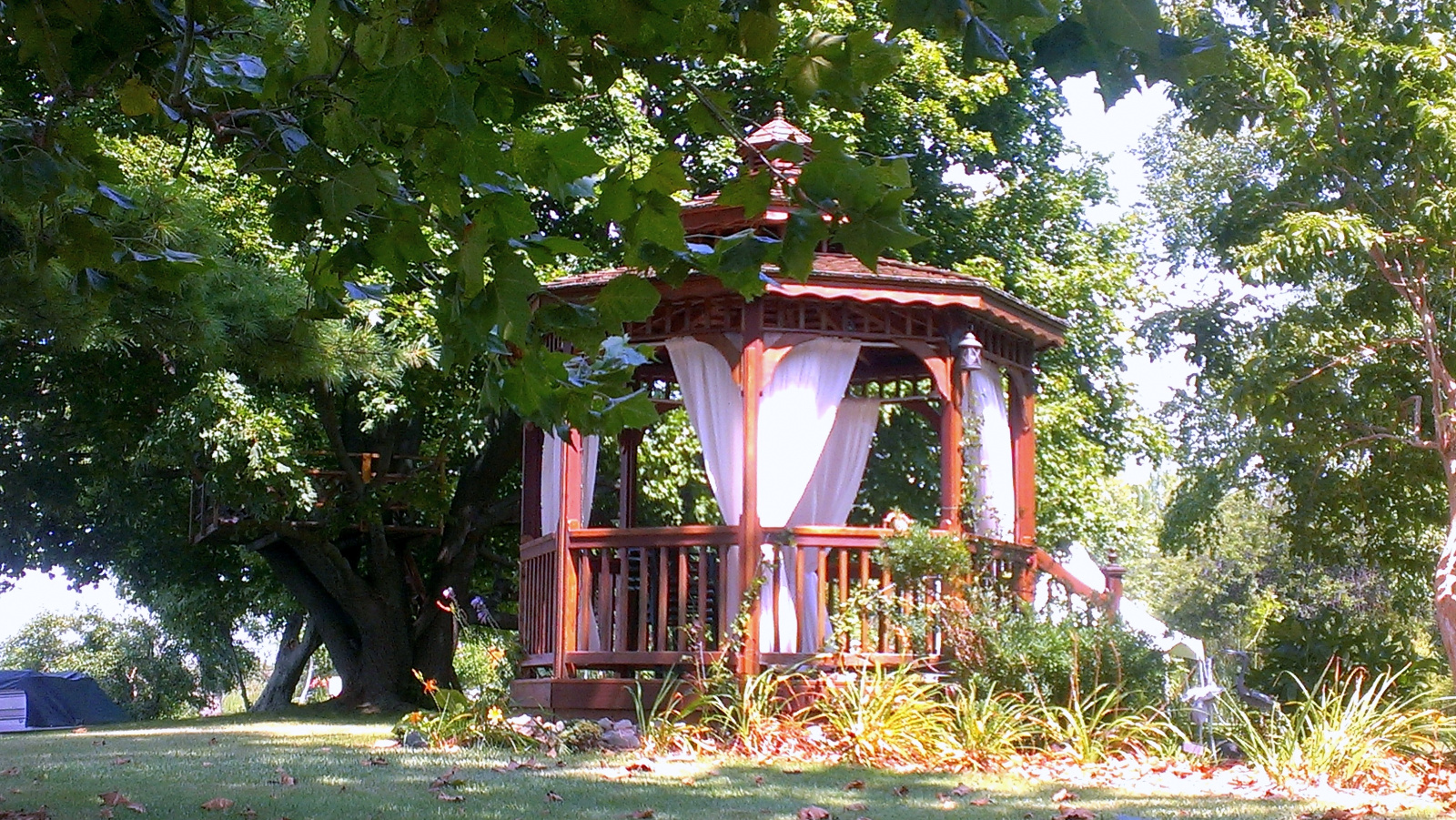 Backside view of Cedar Gazebo